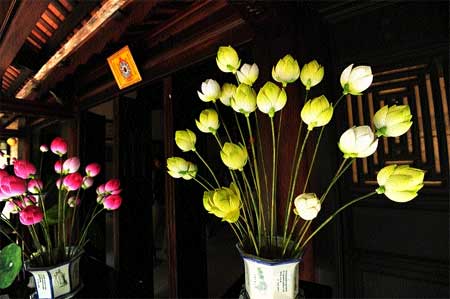 Boom, bust and blooming again 